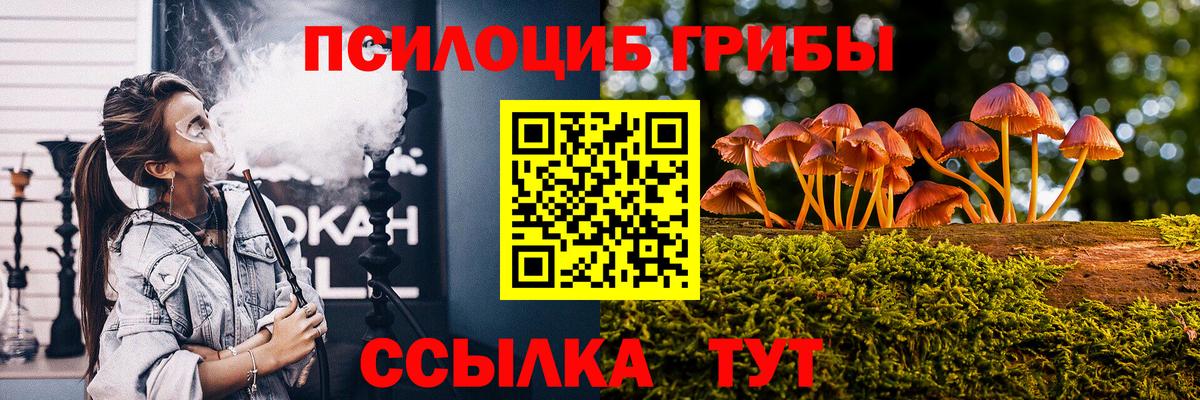 Волхов  Псилоцибиновые грибы мухоморы  Вход с VPN 